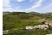 Terraced fields